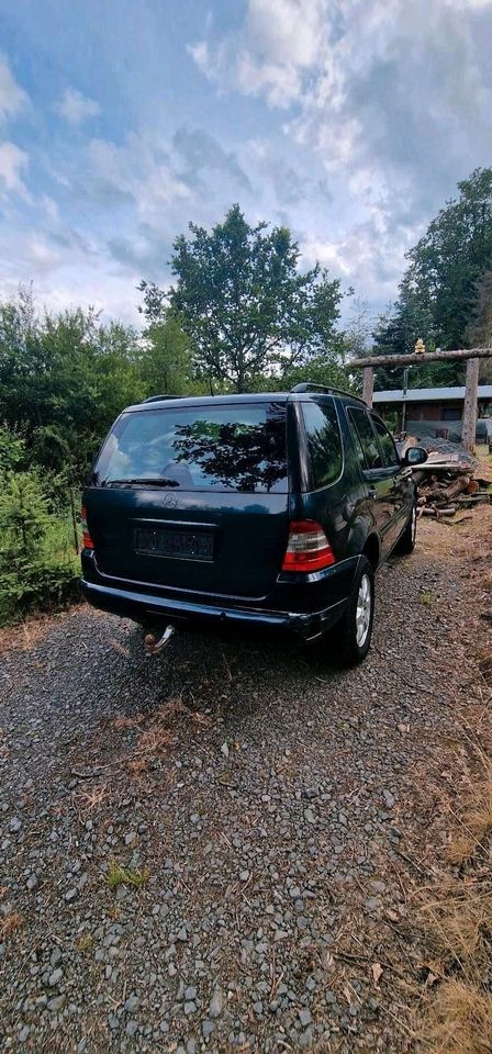 Mercedes-Benz ML 270 CDi 4x4  пробіг: 327852 рік:2000 потужність:164 PS ціна: 2000 - Фото 13