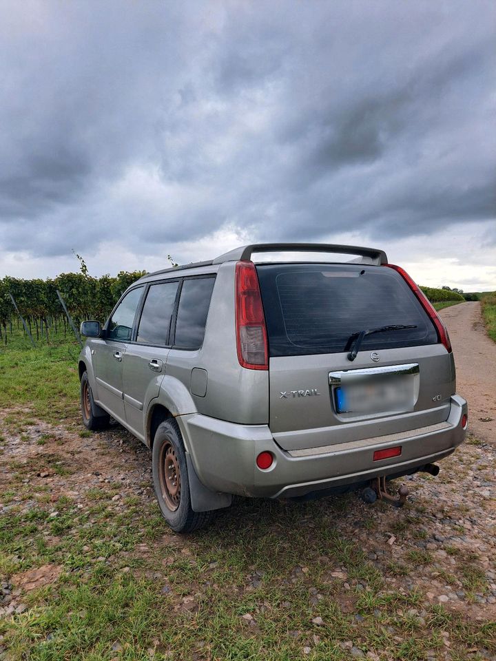Простий джип для ЗСУ Nissan X-Trail T30 пробіг: 232124 рік: Dezember 2005 Diesel потужність:136 PS ціна: 1900 - Фото 10