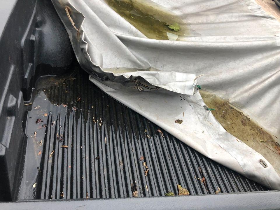 Ford Ranger 4x4 1/2 CAB пробіг: 134676 рік: März 2004 Diesel потужність:109 PS коробка: Manuell ціна: 4850 - Фото 10