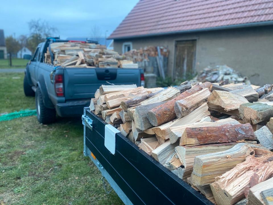 Nissan D22 Pickup 4x4 пробіг: 230000 рік: Februar 2003 Diesel потужність:137 PS коробка: Manuell Mai 2027 ціна: 5500 - Фото 1