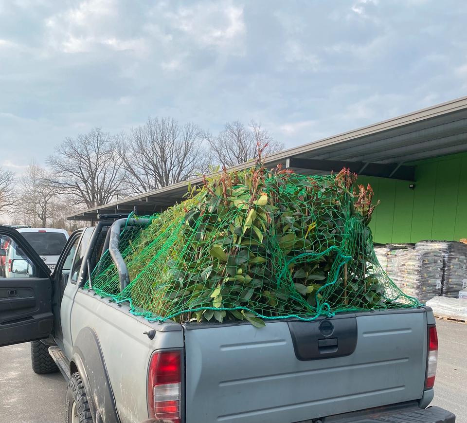 Nissan D22 Pickup 4x4 пробіг: 230000 рік: Februar 2003 Diesel потужність:137 PS коробка: Manuell Mai 2027 ціна: 5500 - Фото 2