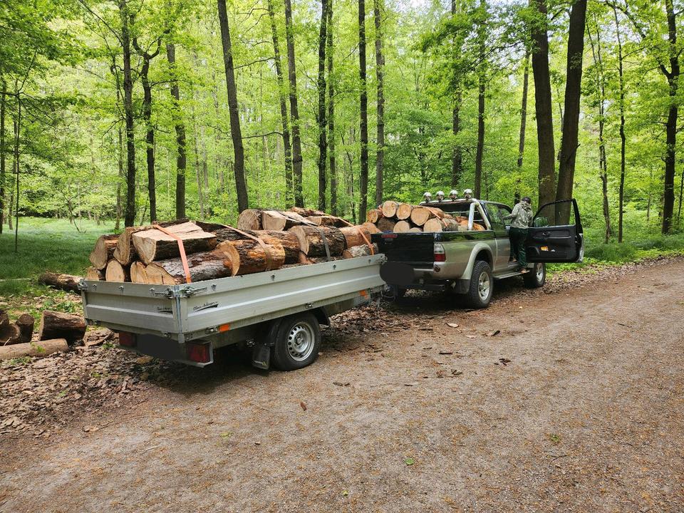 Mitsubishi L200 пробіг: 194000 рік: März 2004 Diesel потужність:116 PS коробка: Manuell ціна: 6000 - Фото 4