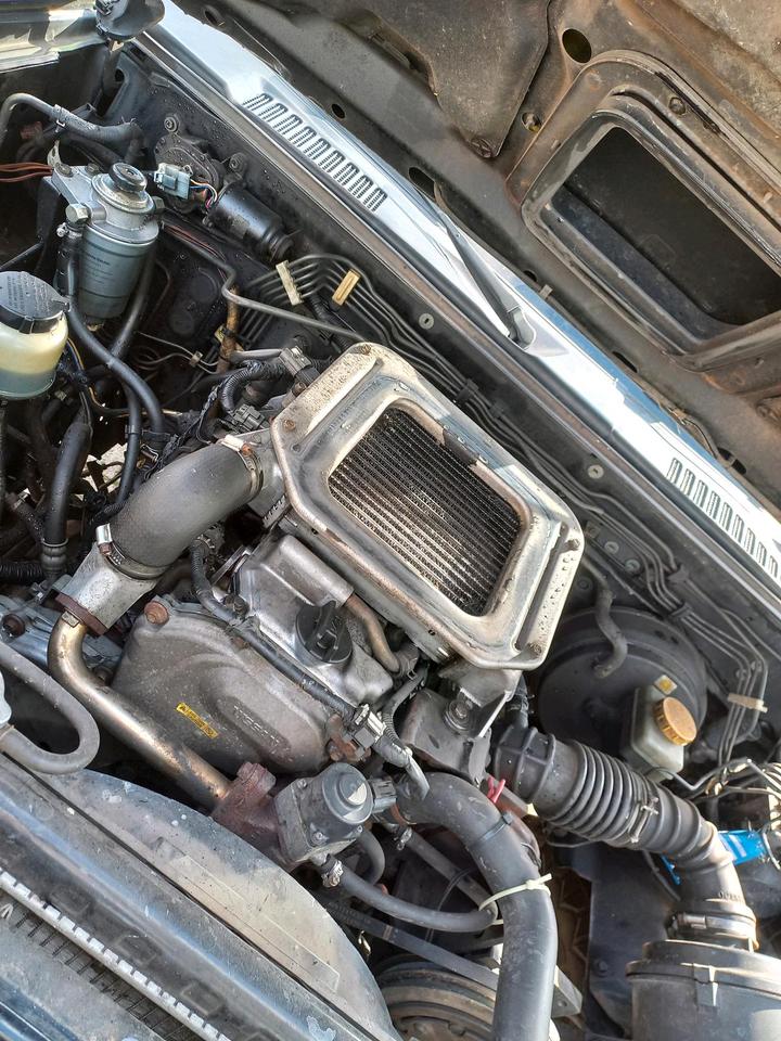 Nissan navara d22 пробіг: 300000 рік: Januar 2025 Diesel потужність:133 PS коробка: Manuell ціна: 6000 - Фото 14