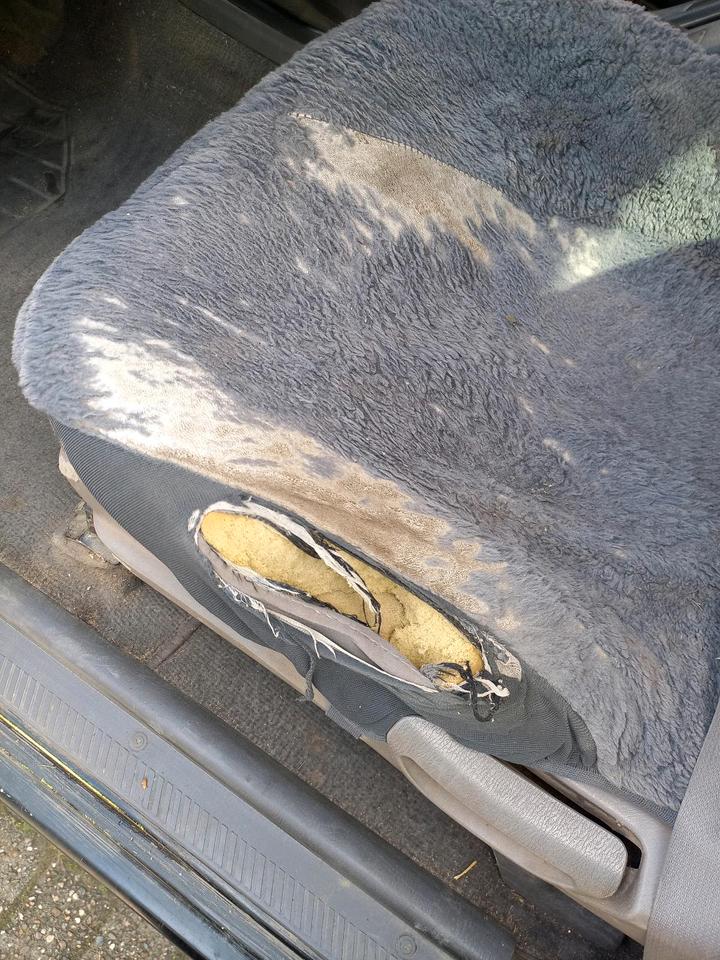 Nissan navara d22 пробіг: 300000 рік: Januar 2025 Diesel потужність:133 PS коробка: Manuell ціна: 6000 - Фото 9