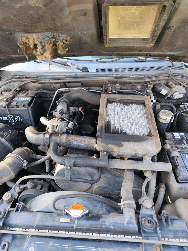 MITSUBISHI L200 DOUBLE CAB 2.5 TD AUTOMATIK пробіг: 384000 рік: Januar 2005 Diesel потужність:133 PS коробка: Automatik ціна: 5000 - Фото 14